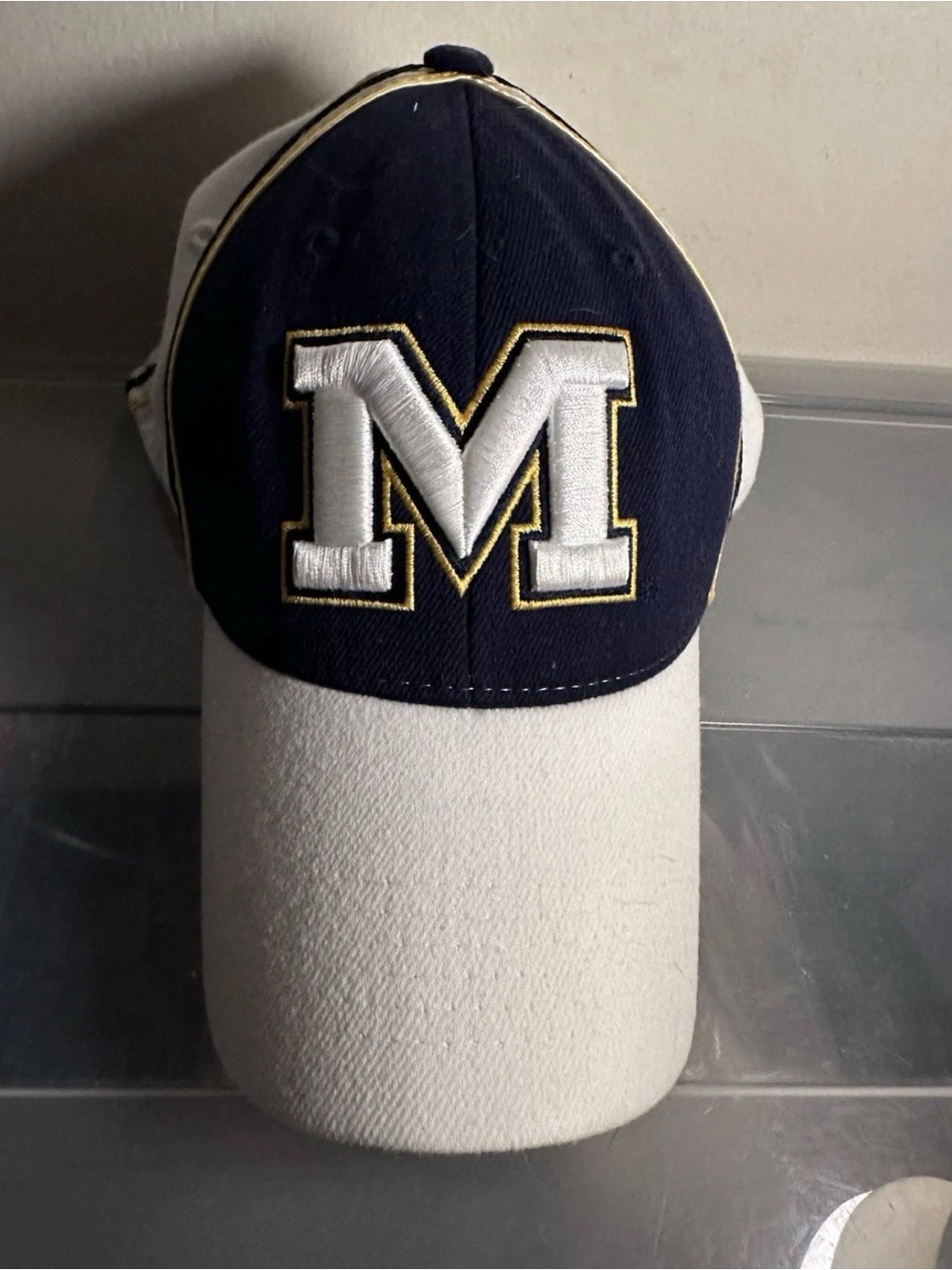 Michigan Cap Top Of The World Label Fair